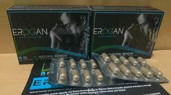 Erogan用户体验评论