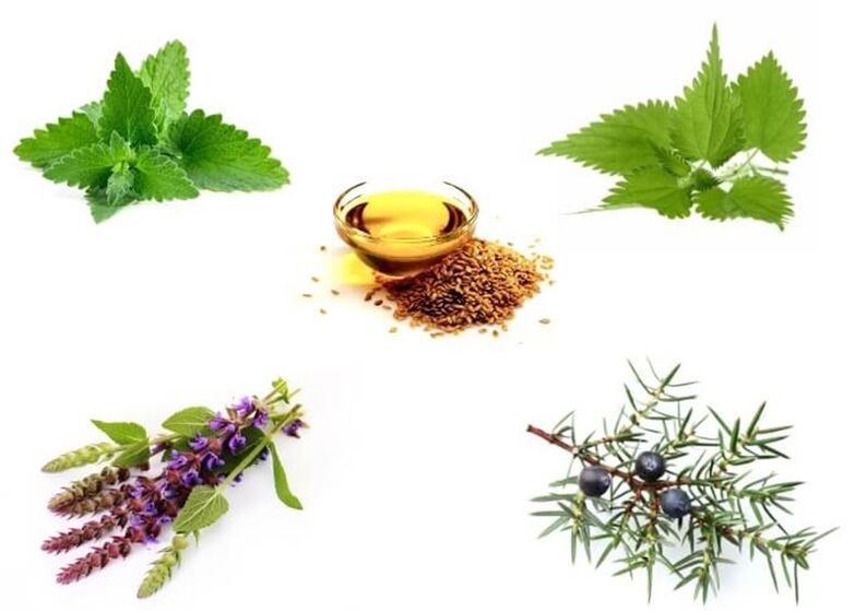 薄荷，荨麻，百里香，杜松和亚麻籽油